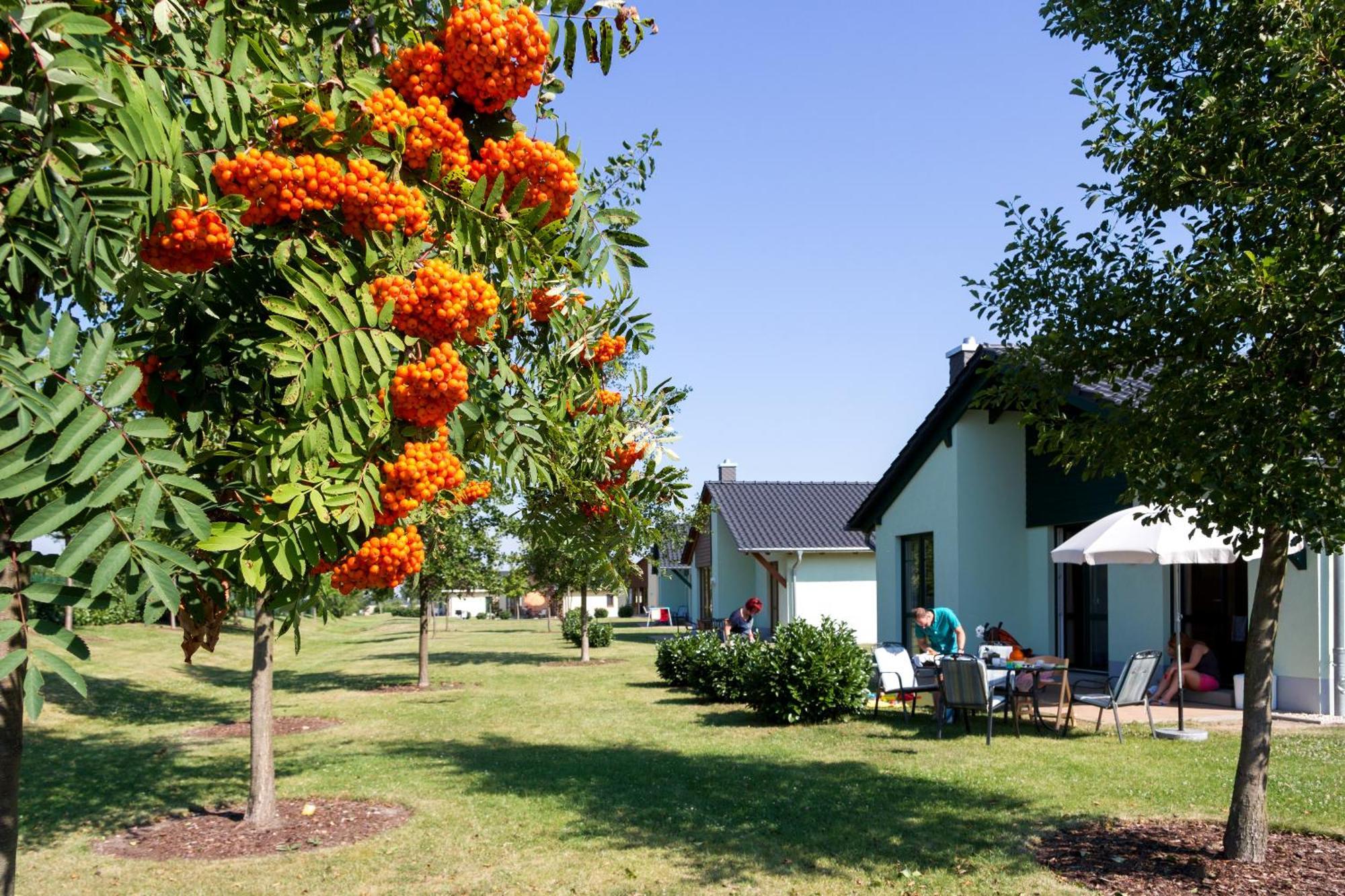 Seepark Auenhain Markkleeberg Zimmer foto